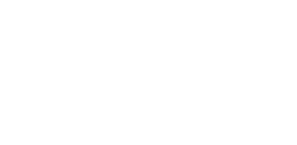 white version of logo